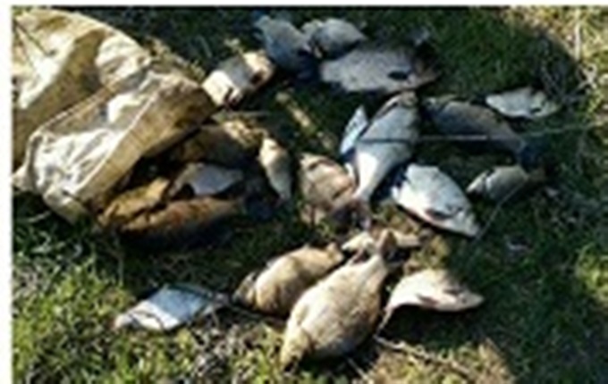 На Оскольском водохранилище поймали рыбных браконьеров