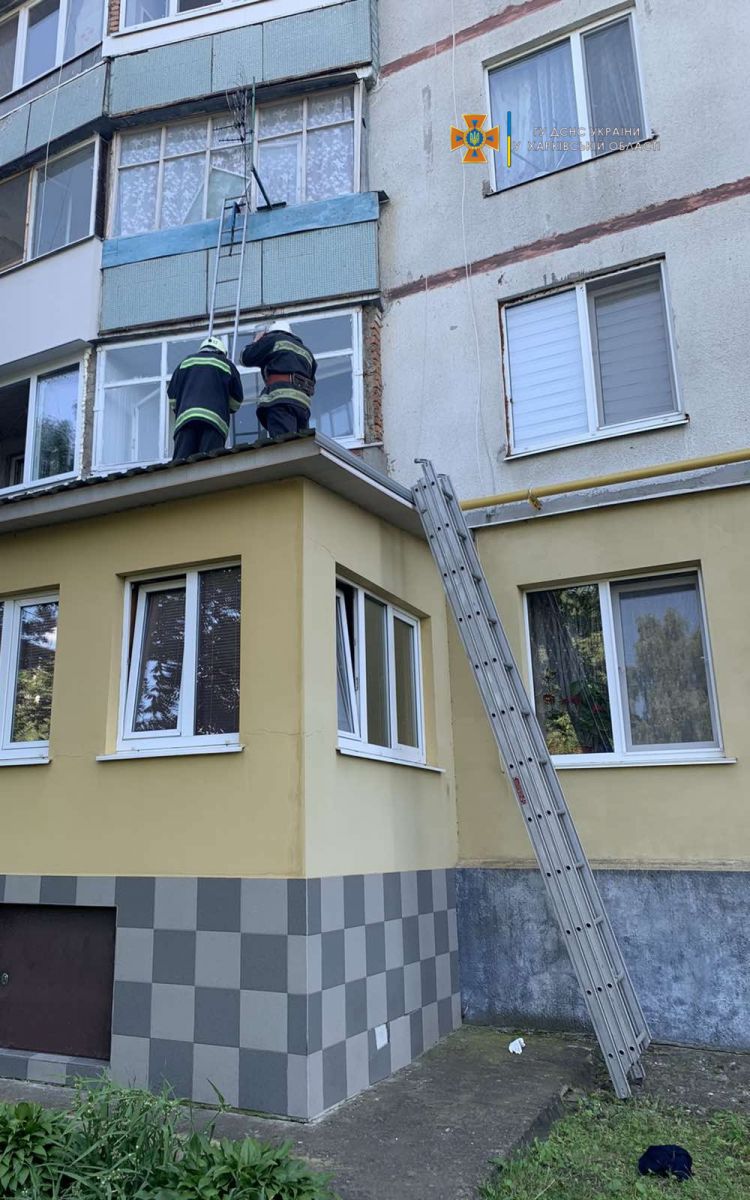 Скорая вызвала спасателей, чтобы попасть в квартиру парализованной женщины под Харьковом