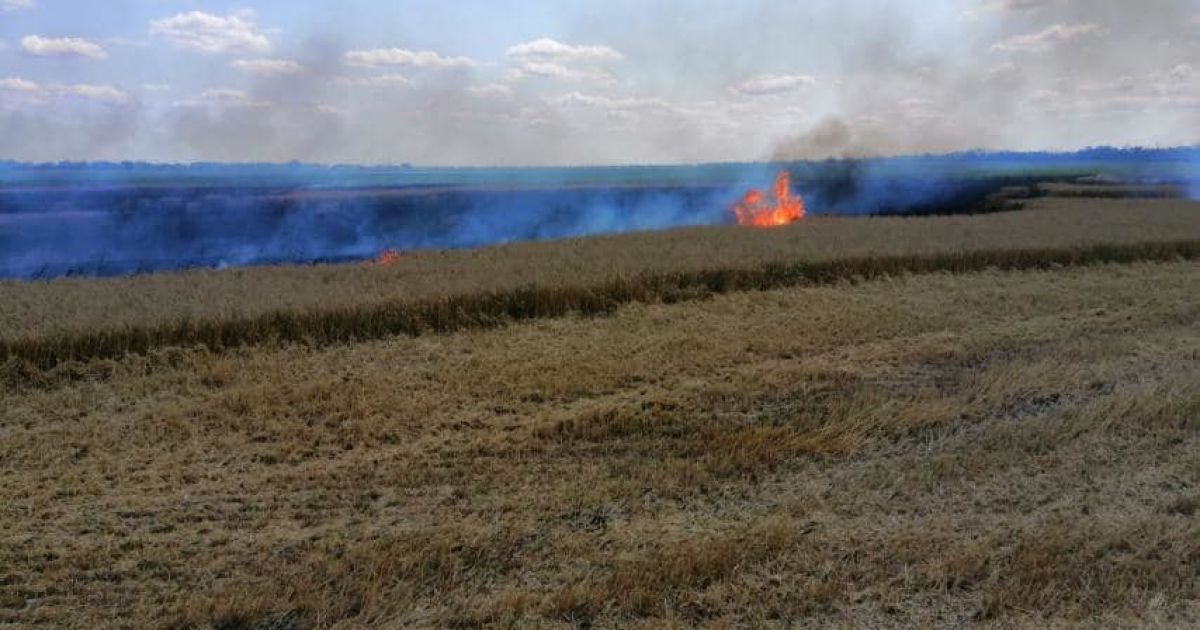 4 гектара стерни сгорело в Красноградском районе. Новости Харькова