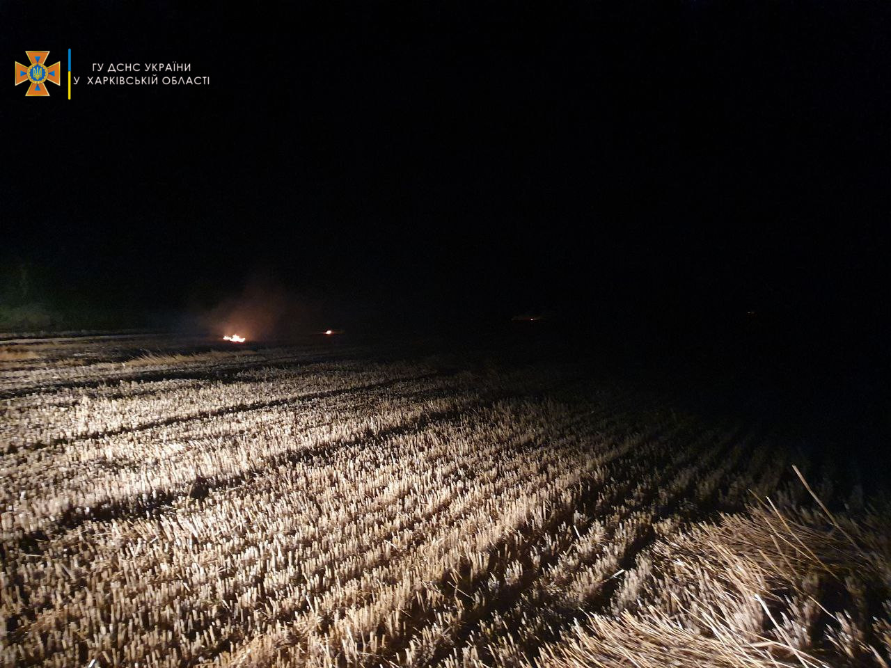 Пожар на полях в Харьковской области