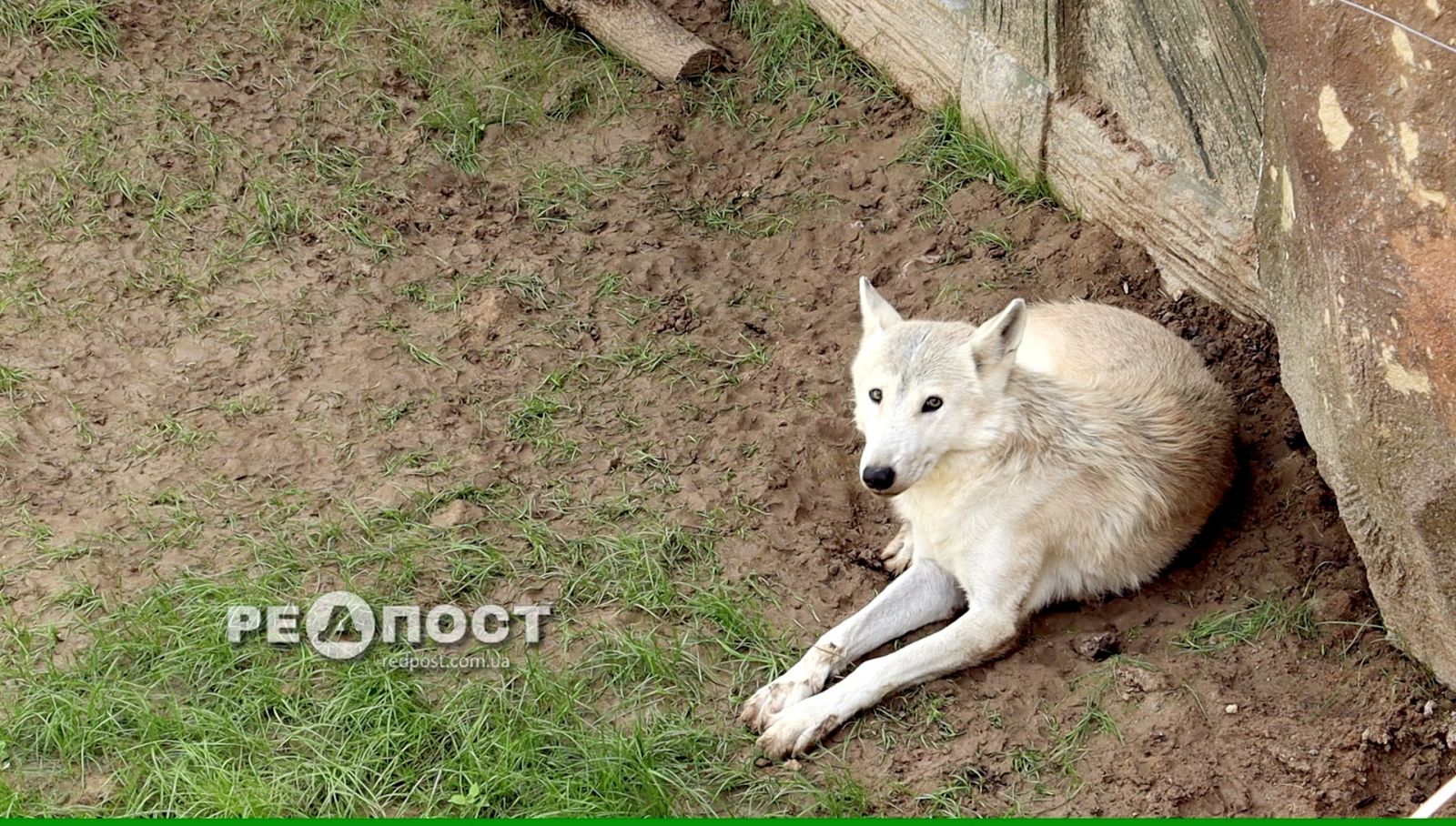 В Харьковском зоопарке появились новые обитатели