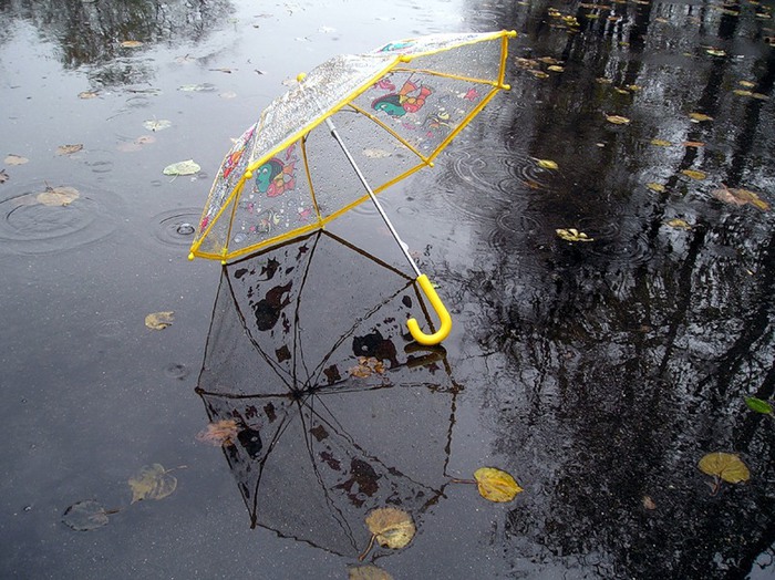 осень дождь листик зонт в луже