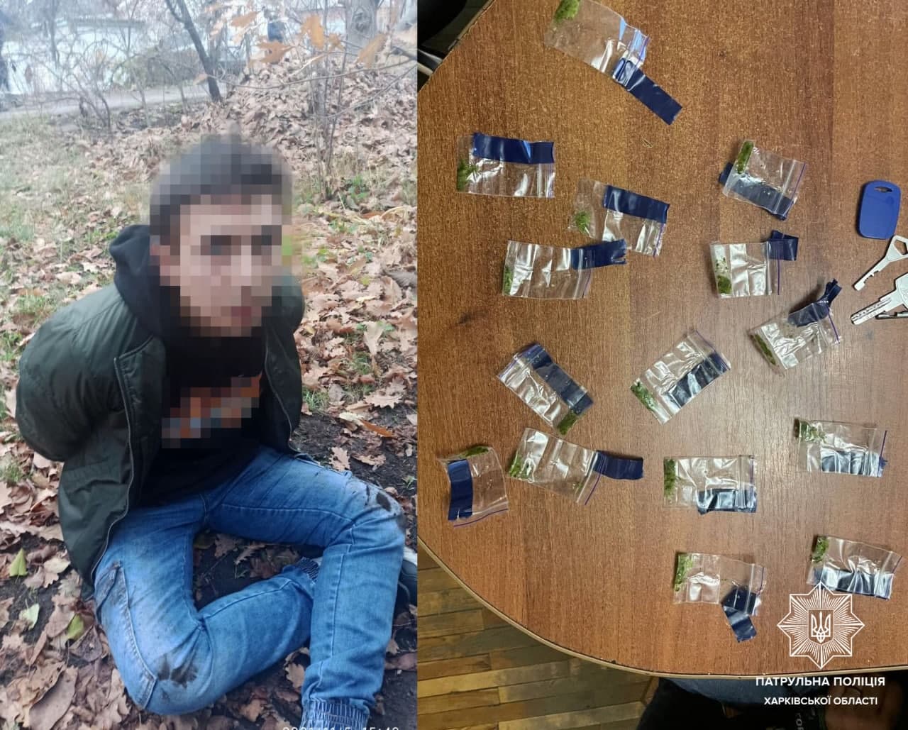 Криминал Харьков: Закладчик наркотиков распылил баллончик в полицейских, убегал и пытался дать взятку