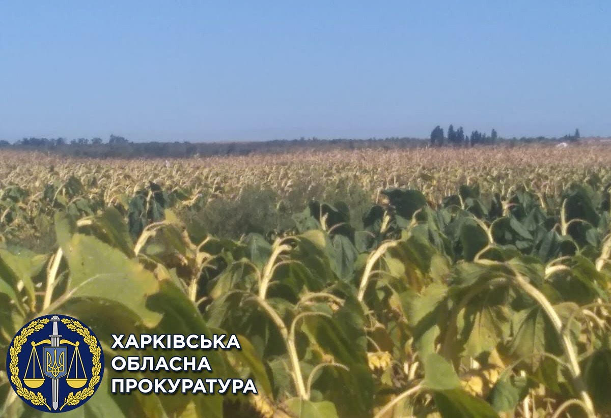 Криминал Харьков: Будут судить мужчину, захватившего 36 гектар земли и нанесшего 125 тысяч ущерба государству