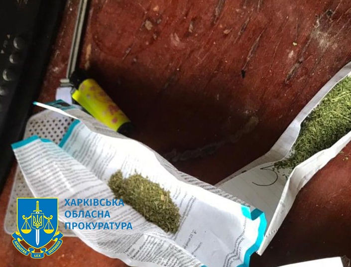 Криминал Харьков: Мужчина выращивал сотни кустов конопли у себя во дворе