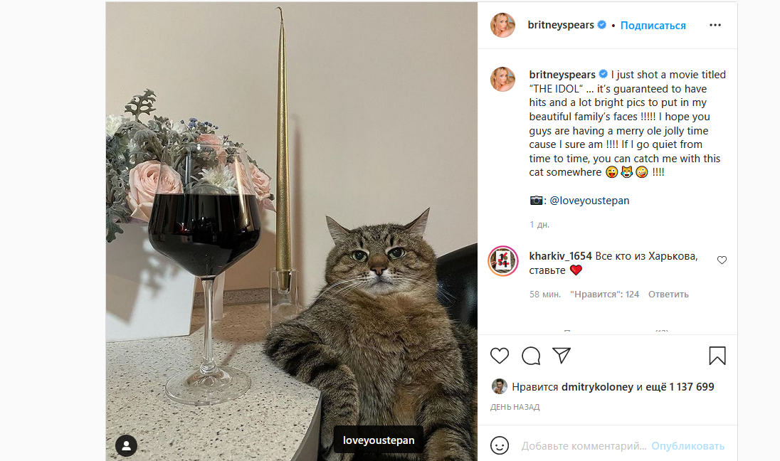 Кот Степан в Instagram Бритни Спирс