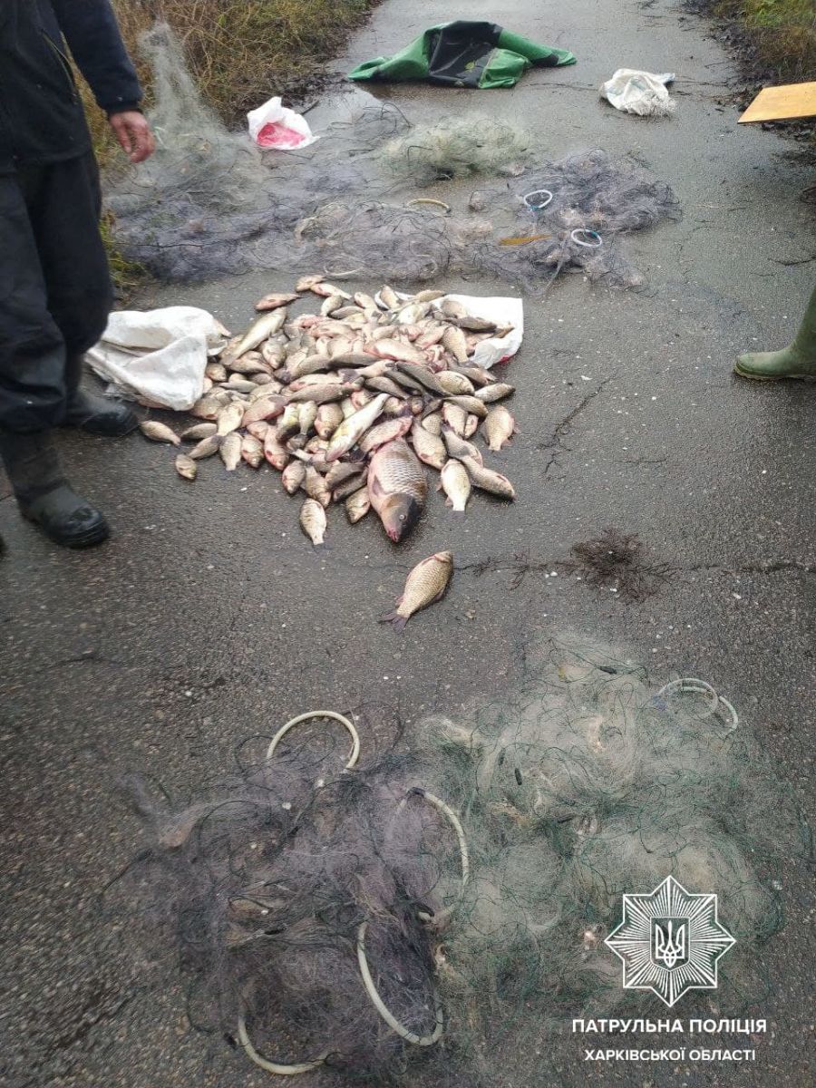 Криминал Харьков: на Алексеевском водохранилище задержали рыбных браконьеров