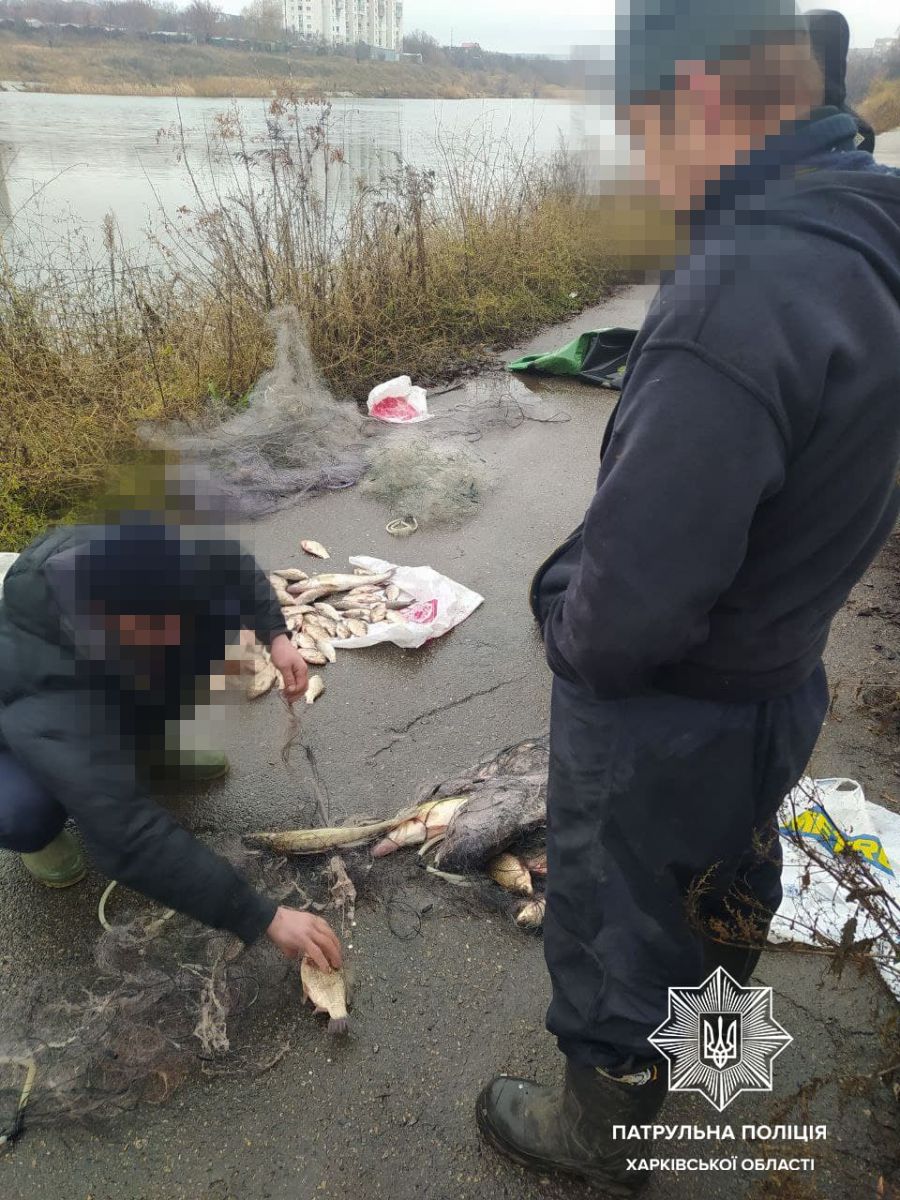 Криминал Харьков: на Алексеевском водохранилище задержали рыбных браконьеров