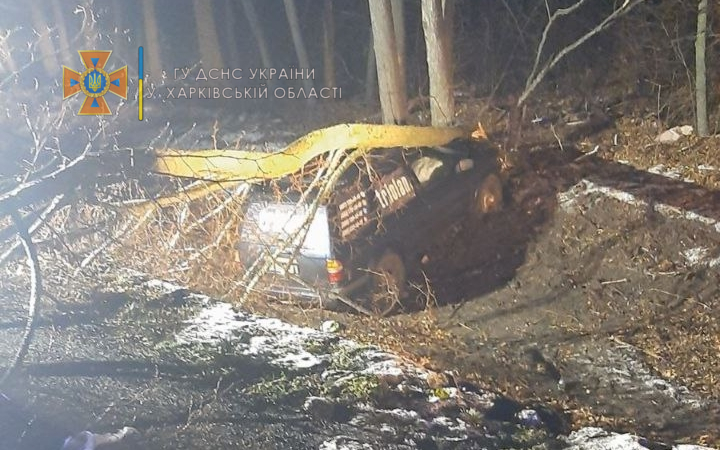 ДТП Харьков: дерево упало на авто Nissan