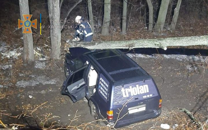 ДТП Харьков: дерево упало на авто Nissan