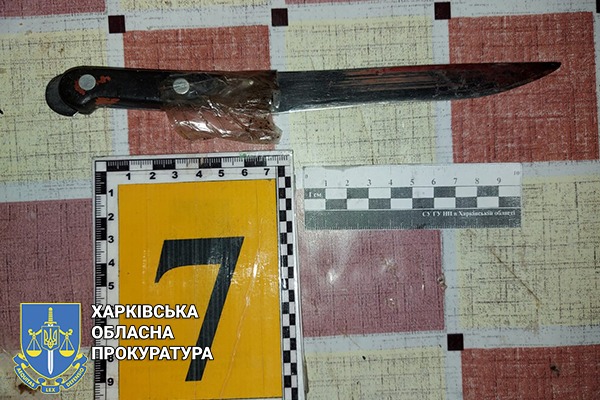 Криминал Харьковщина: 38-летняя женщина зарезала 44-летнего мужчину во время ссоры в Богодуховском районе