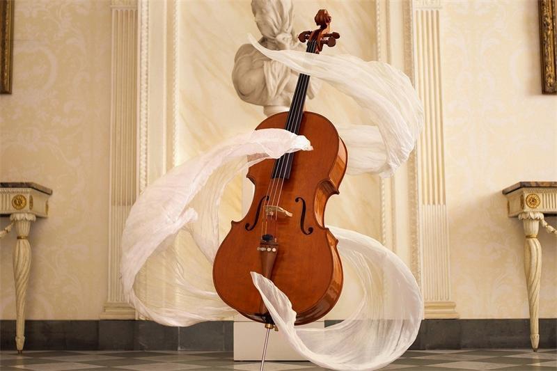 Международный день виолончели