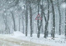 Харьков вновь запорошило снегом