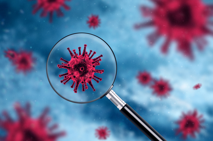 Во Франции обнаружили новый вариант новый вариант коронавируса SARS-CoV-2