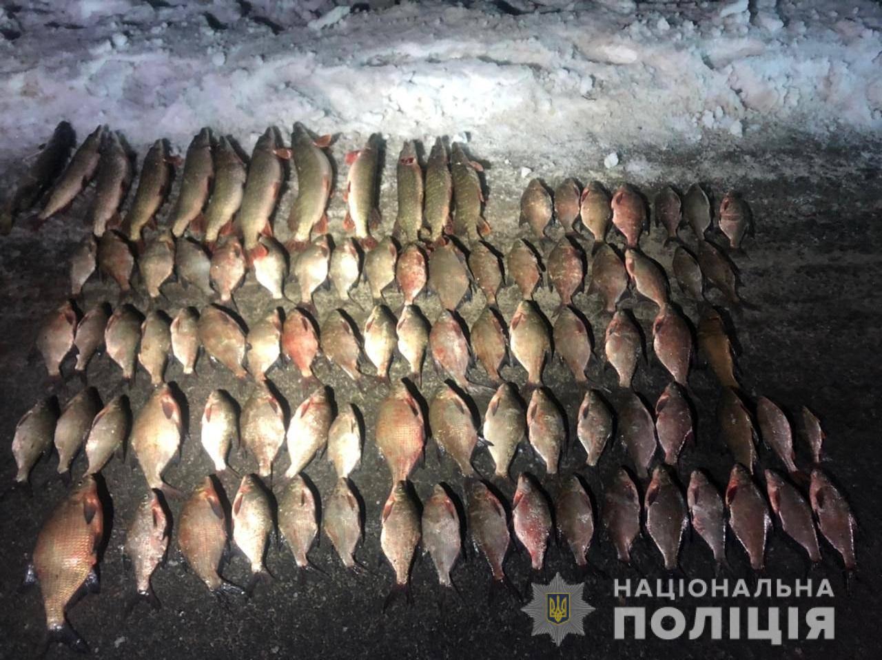 Криминал Харьковщина: Пойманы браконьеры, незаконно наловившие на полтора миллиона гривен рыбы