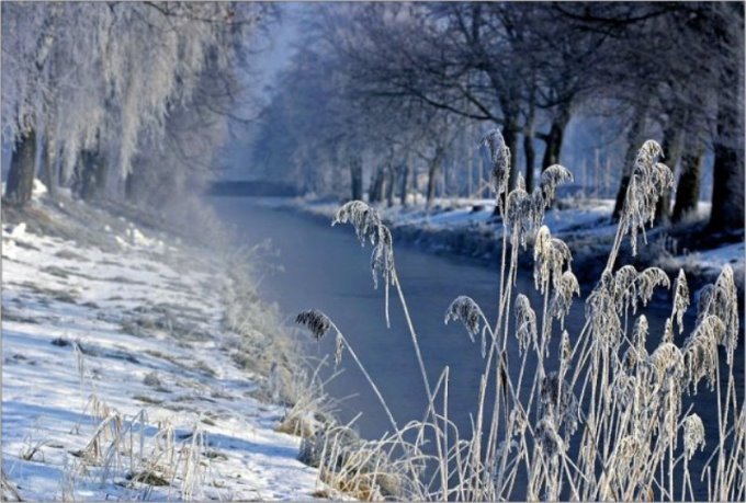 Прогноз погоды и магнитных бурь в Харькове на выходные, 8 и 9 января