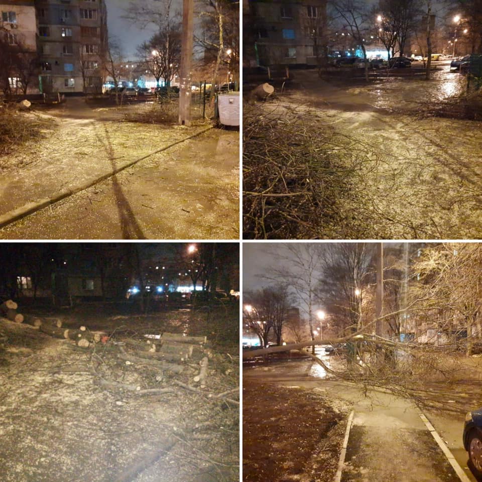 Поваленные ветром деревья убирали ночью коммунальщики. Новости Харькова