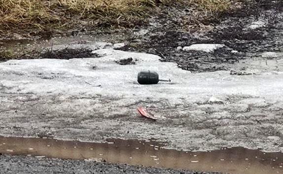 ЧП Харьков: Уничтожены найденные гранаты на Холодной горе
