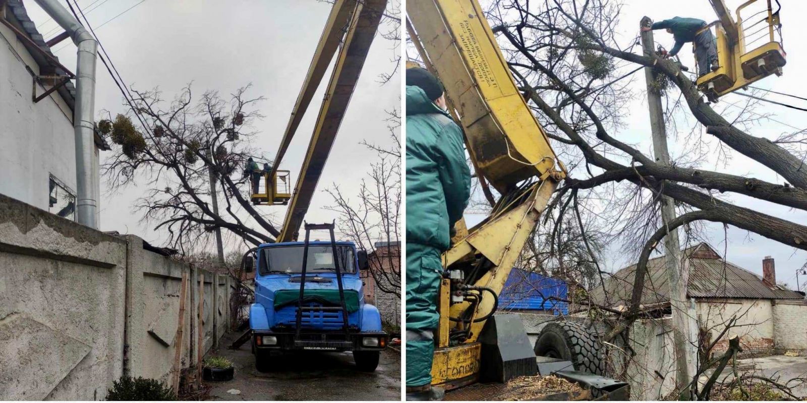 В Харькове убирают пострадавшие от обстрелов деревья