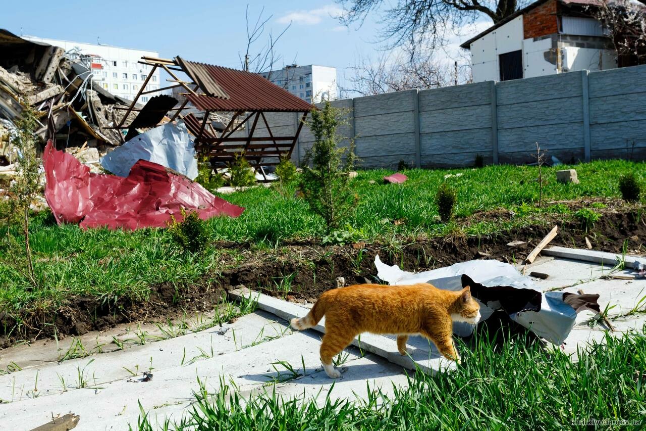 Агрессия России: В Чугуеве разрушены десятки многоэтажек и сотник домов частного сектора