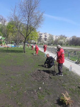 В Харькове высаживают деревья