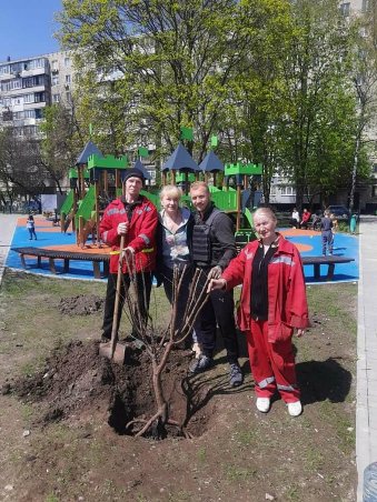 В Харькове высаживают деревья