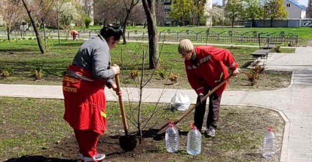 Харьков высадка деревьев 
