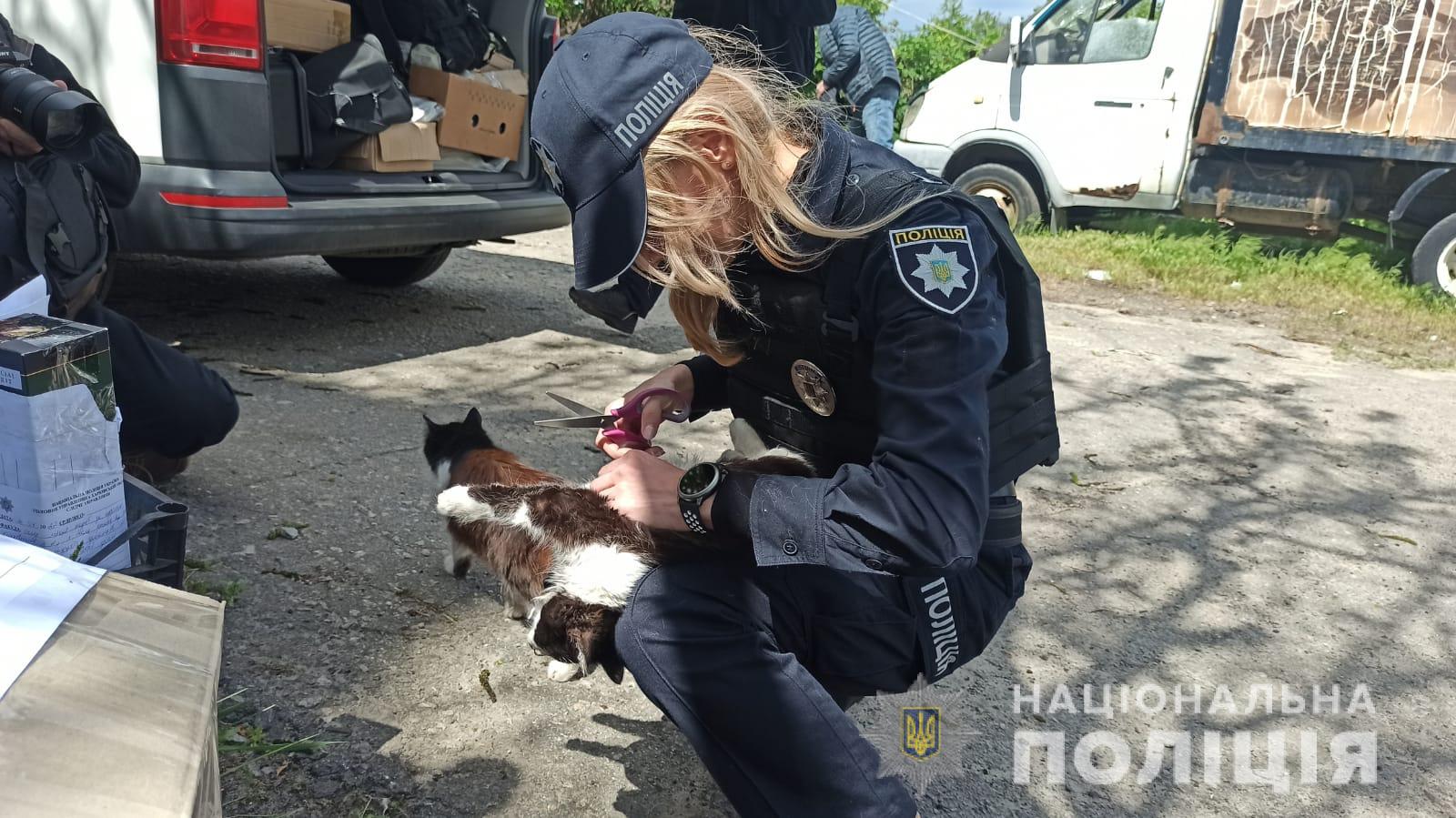 Девушка-полицейский помогает уличным животным в Харькове