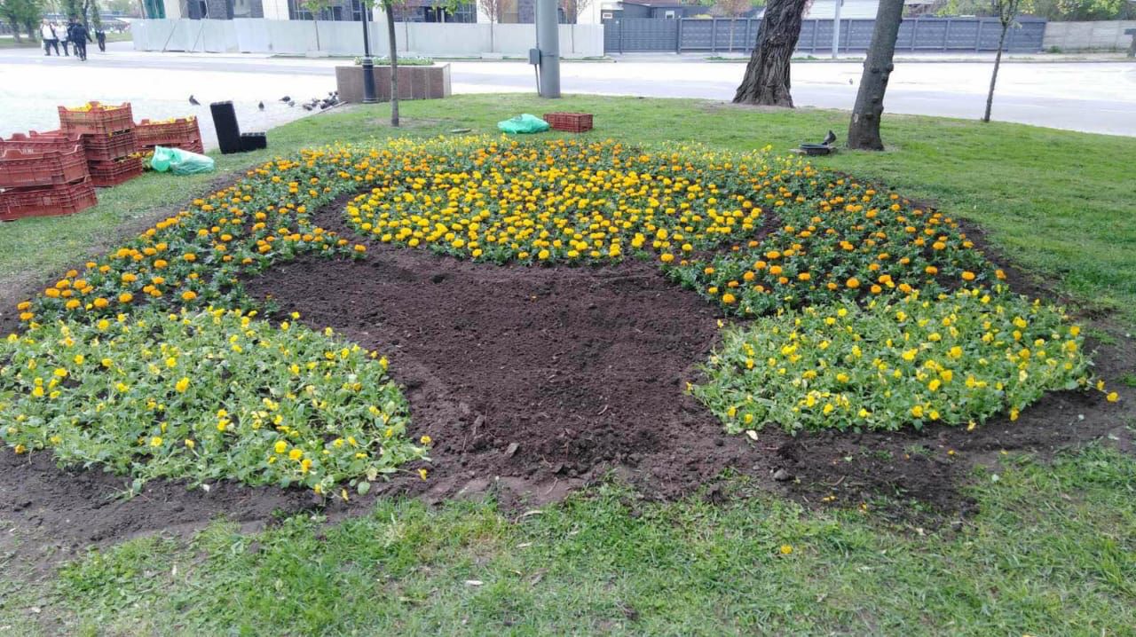 Высадка цветов Харьков 