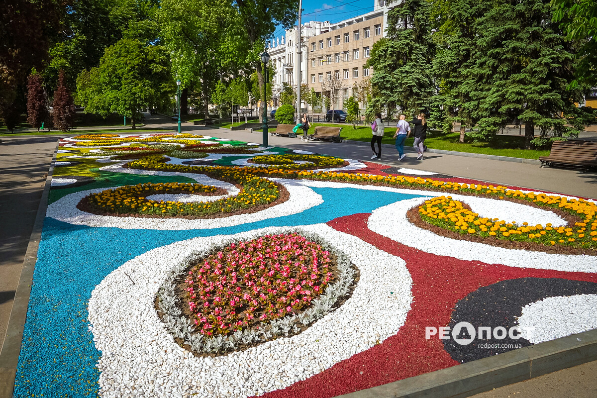 Харьков, цветы