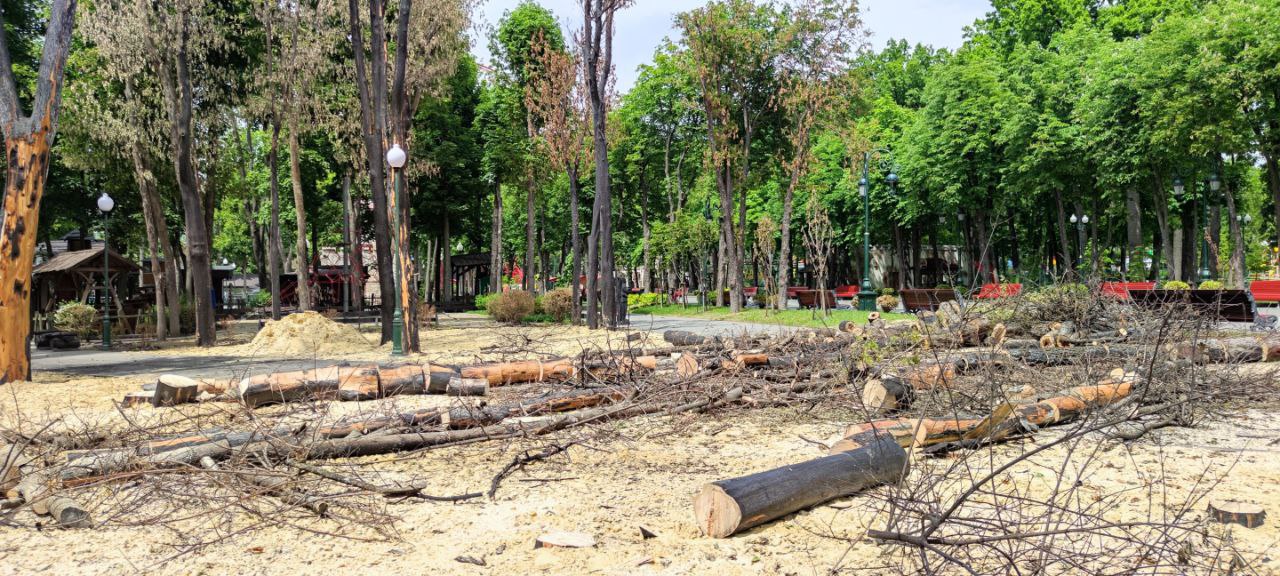 В парке Горького спилили деревья пострадавшие от обстрелов 