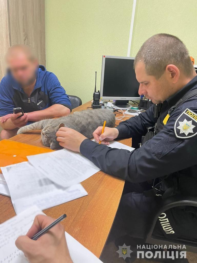 Спасли кота из-под обстрелов и поселили в полицейском участке харьковские правоохранители