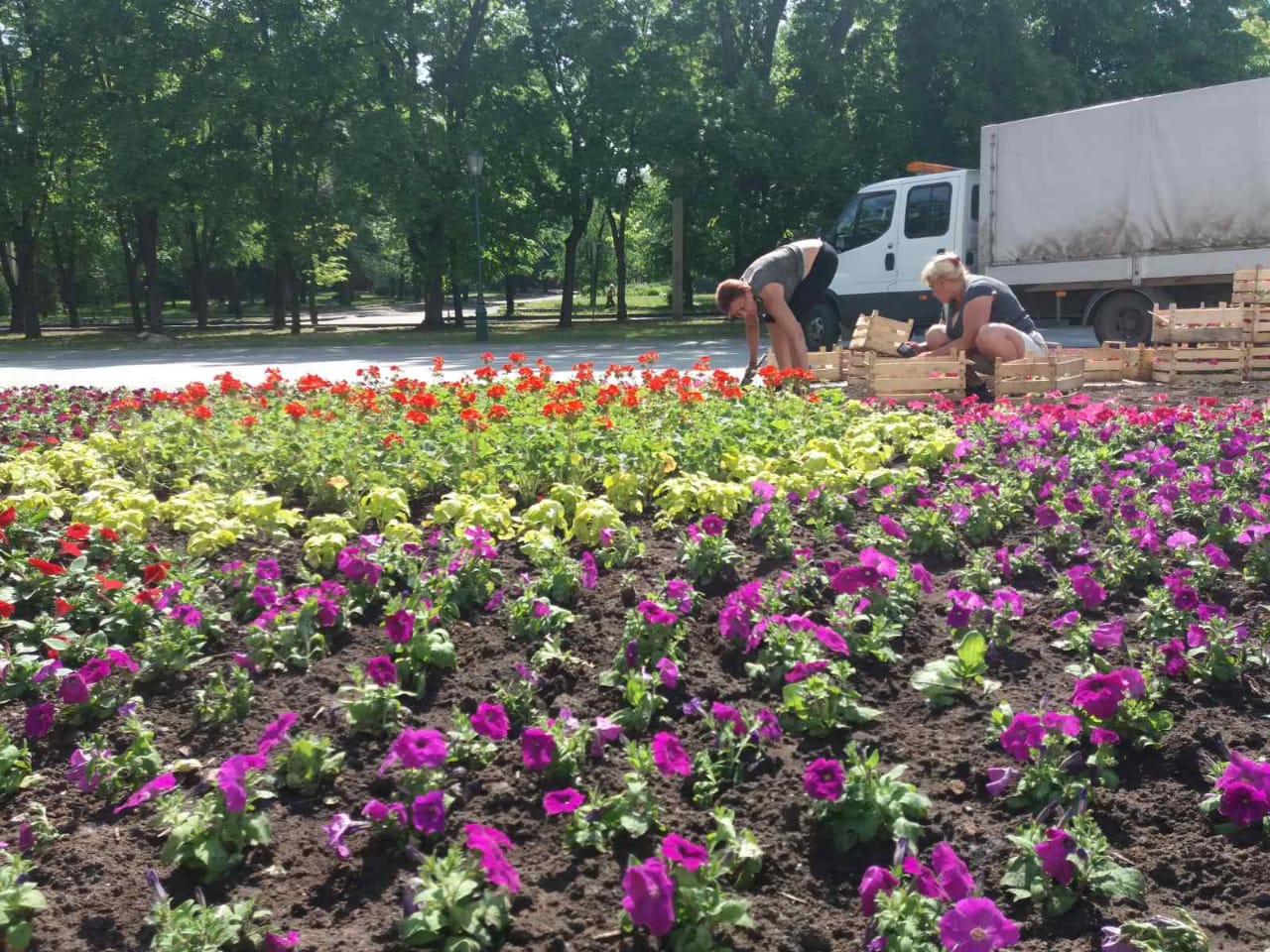 В Харькове высадили десятки тысяч цветов