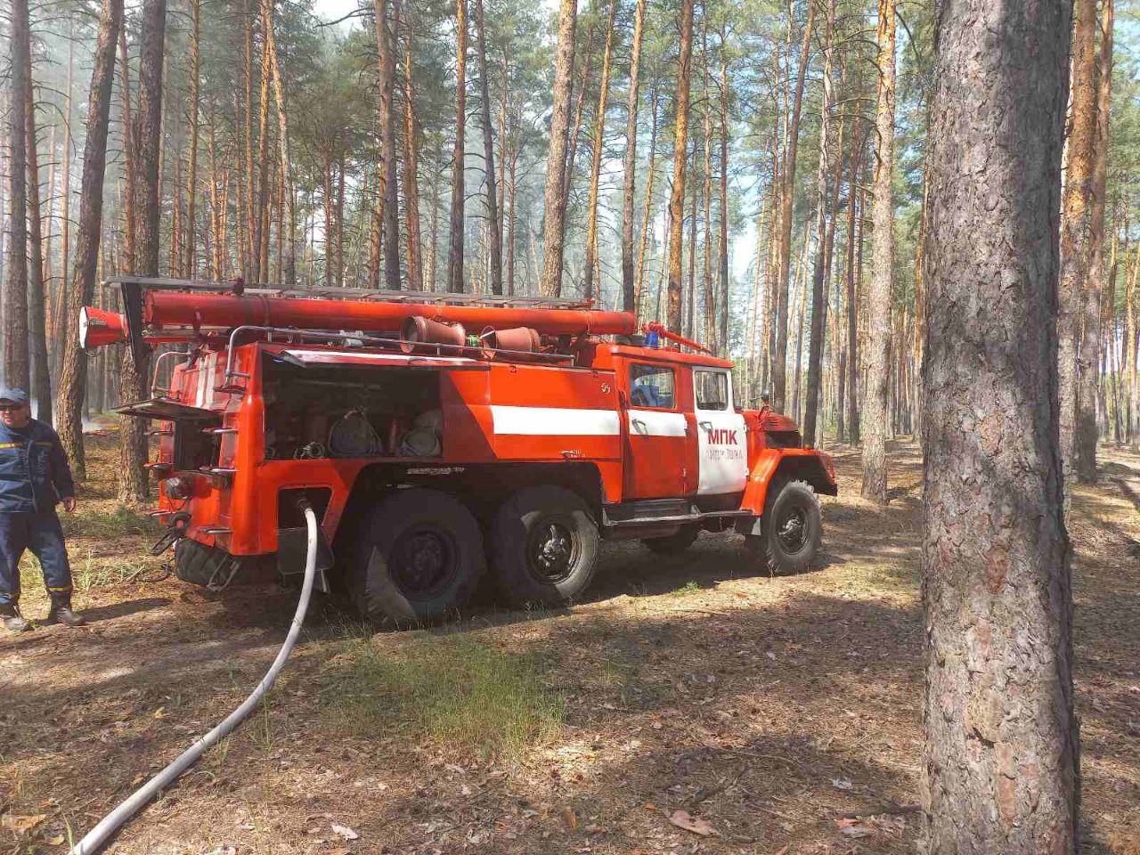 Пожар Харьковщина: Под обстрелом спасатели и лесники потушили пожар на Изюмщине