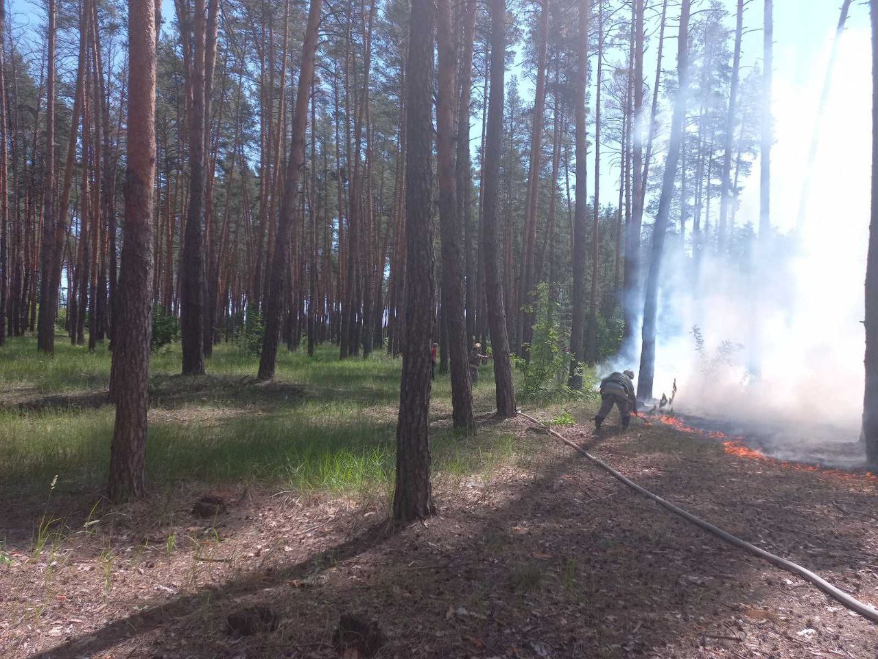 Пожар Харьковщина: Под обстрелом спасатели и лесники потушили пожар на Изюмщине