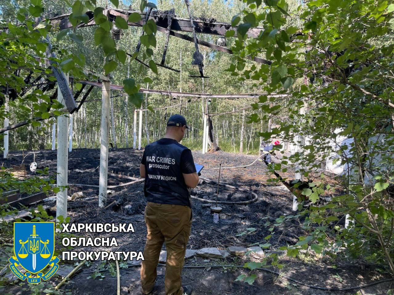 Пожар Харьков: Уничтожена значительная часть леса в Подворье из-за обстрела оккупантов 