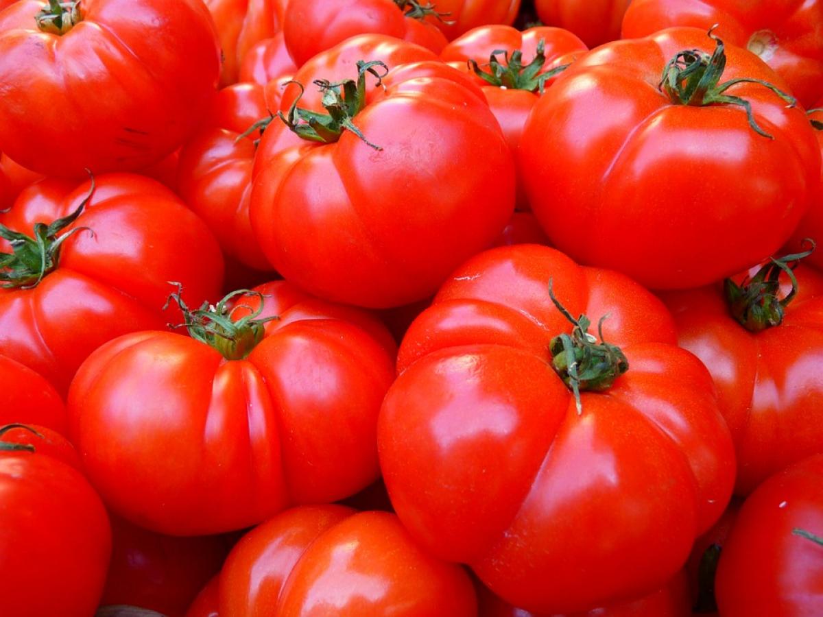 Чи можуть підстрибнути ціни на помідори прогнозують експерти