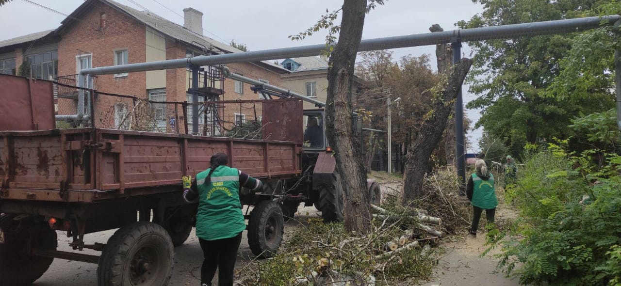 Убирають пошкоджені обстрілами дерева у Харкові