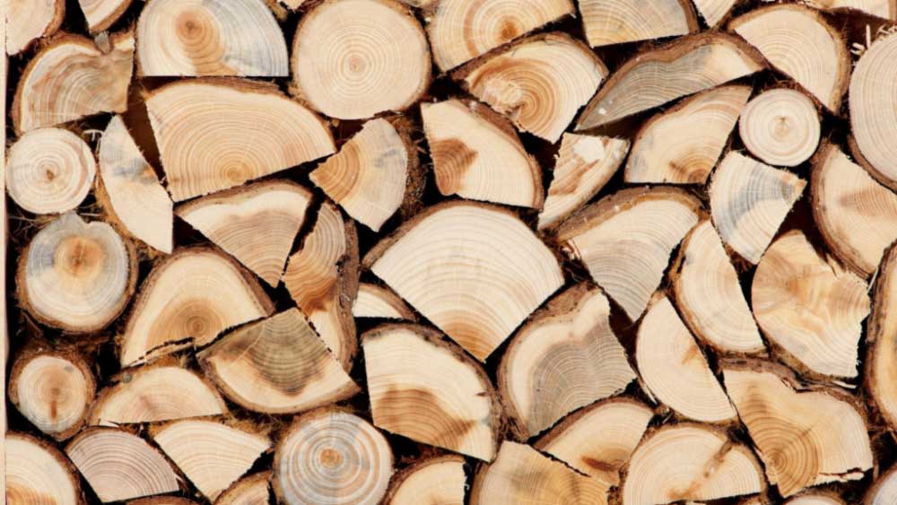 Новини Харкова: мешканцям деокупованих територій безкоштовно дадуть дрова