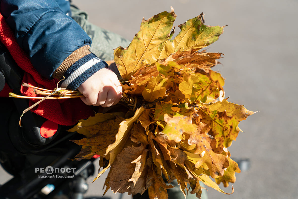 Харьков осень желтые листья в руках у ребенка