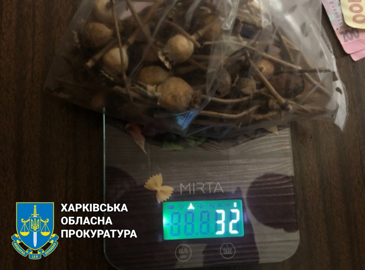 Погорів на наркотиках: засуджено жителя Харківщини