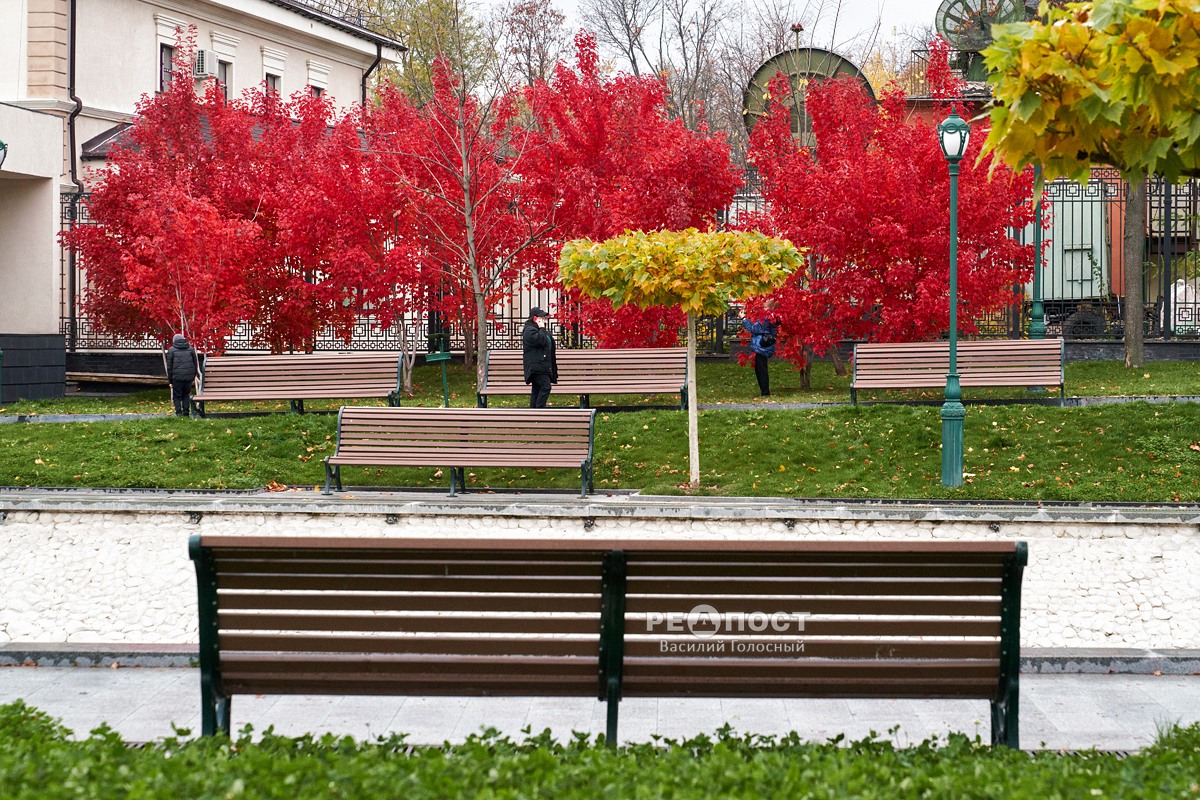 сад шевченко, осень, деревья с красной и желтой листвой, харьков