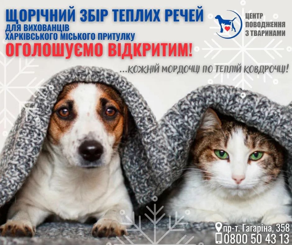 Харків притулок для тварин 