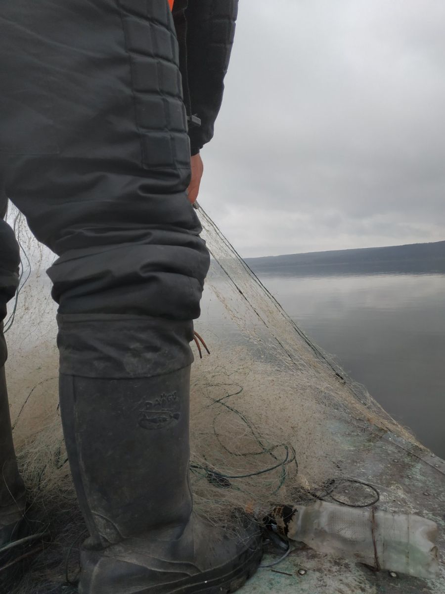 У районі села Хотімля Харківської області виявлено порушника, який ловив рибу мисиновими сітками