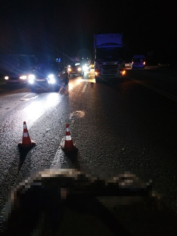 ДТП Харків: Збила насмерть жінку вантажівка Scania у Пісочині