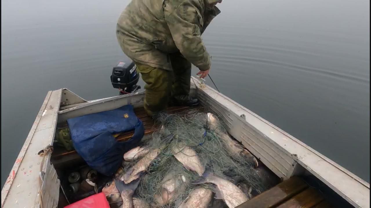 порушення правил рибальства 