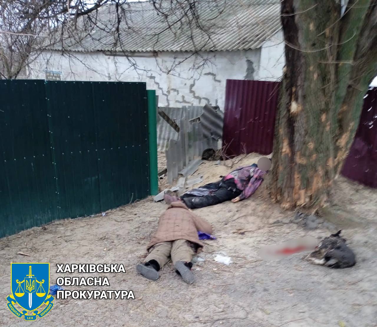 Загинули дві жінки під час обстрілу Дворічної на Харківщині