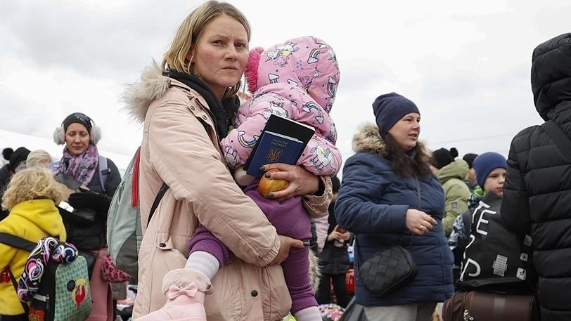 Українські біженці - результати соціологічного дослідження