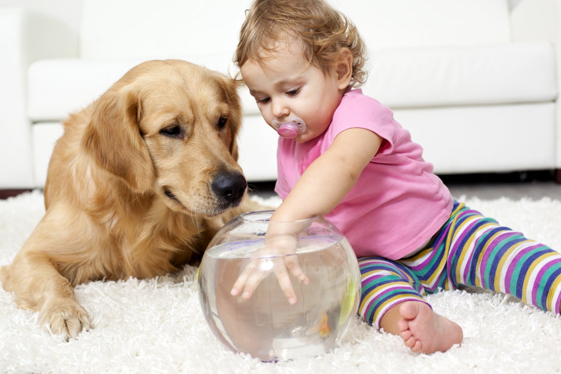 Стало відомо, як впливають на здоров'я маленьких дітей домашні тварини