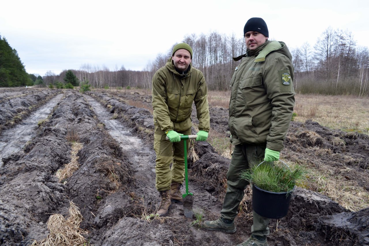 Висадили понад мільйон саджанців дерев цієї весни на Харківщини